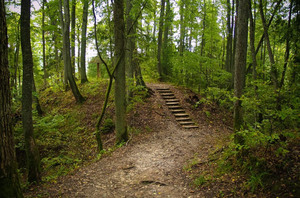 Idol’s Hill (Wheel Corner, Wheel Hill, Trumpeters’ Hill)