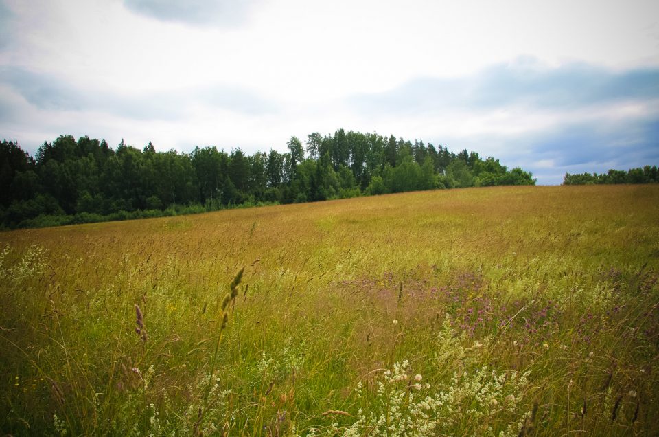 Kocēni Piltiņkalns Hill