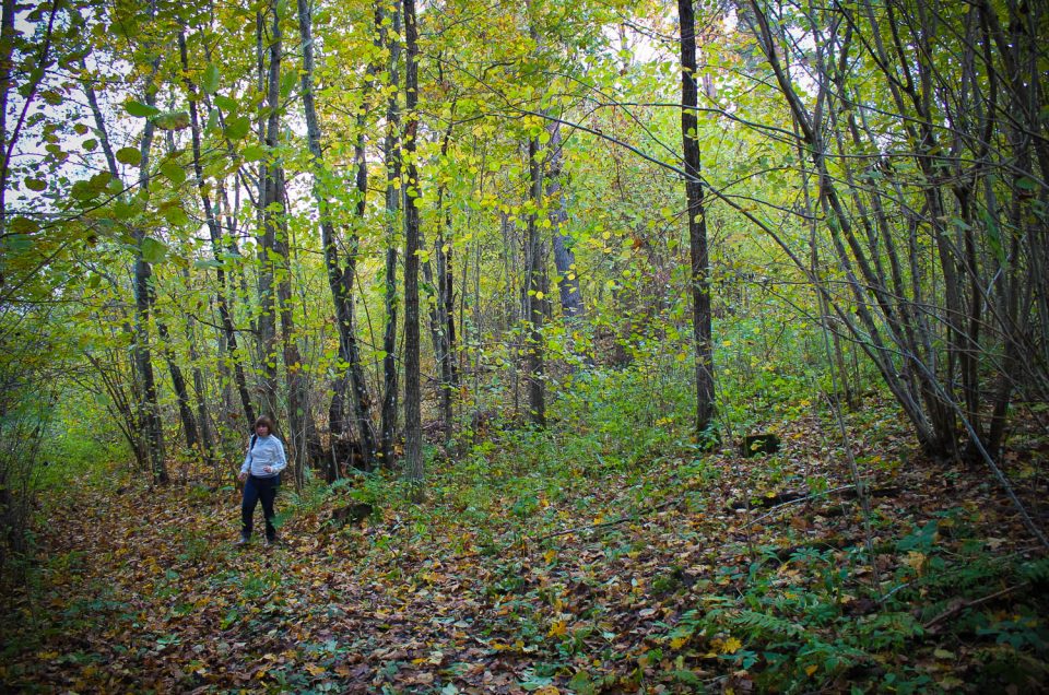 Muldenieki Sacrificial Hill (probably, a hillfort)