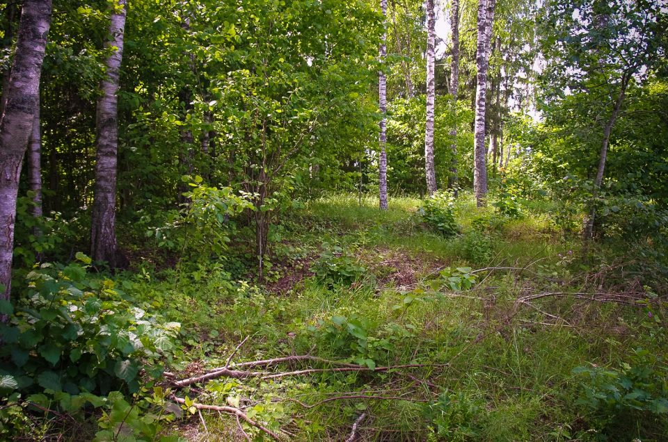 Čāpuļi Sacrificial Hill (Worship Hill)