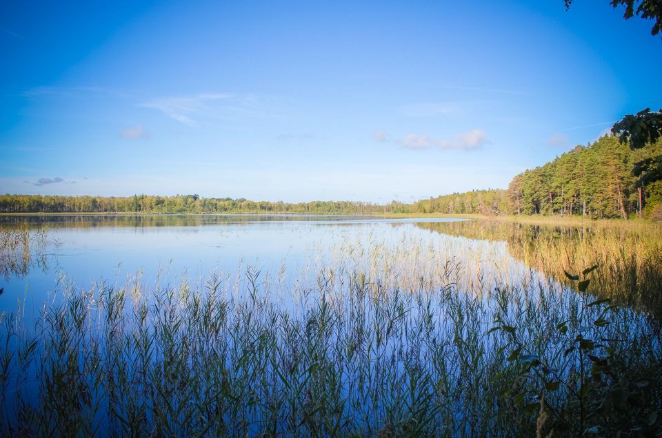 Lake Svētes