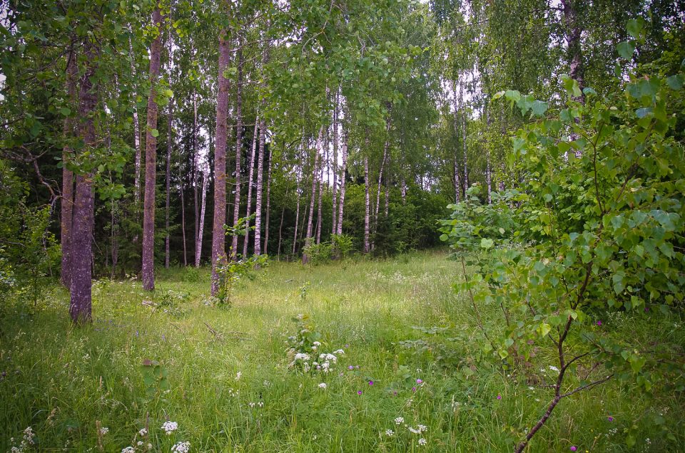 Čāpuļi Sacrificial Hill (Worship Hill)