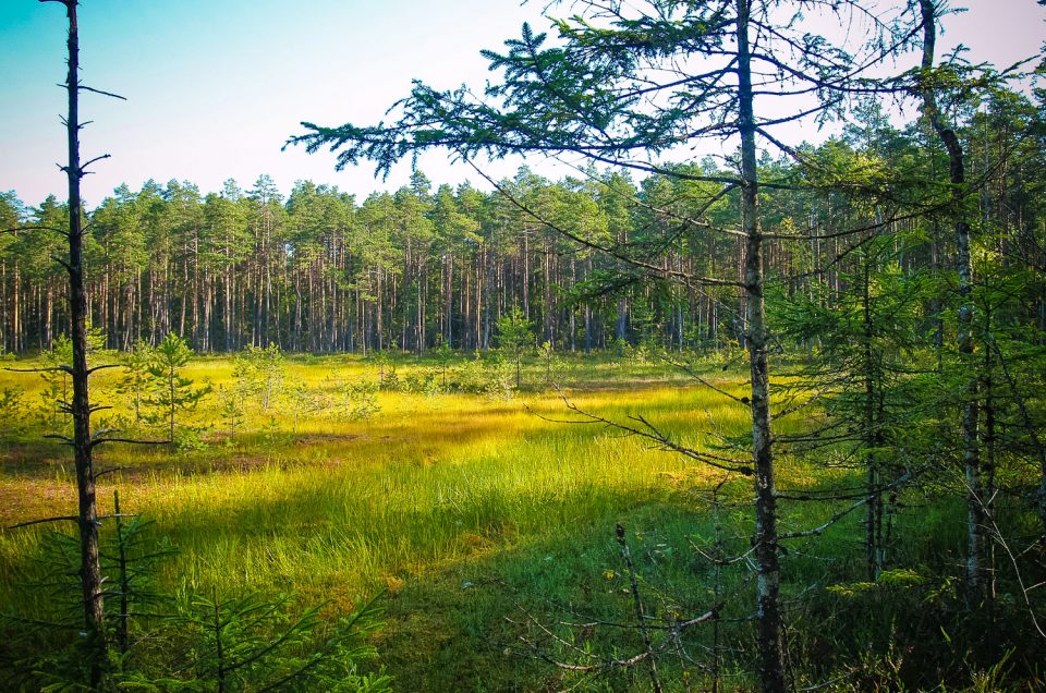 Devil’s Lake and the Marsh