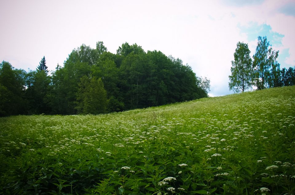 Graudiņi Jāņkalns Hill