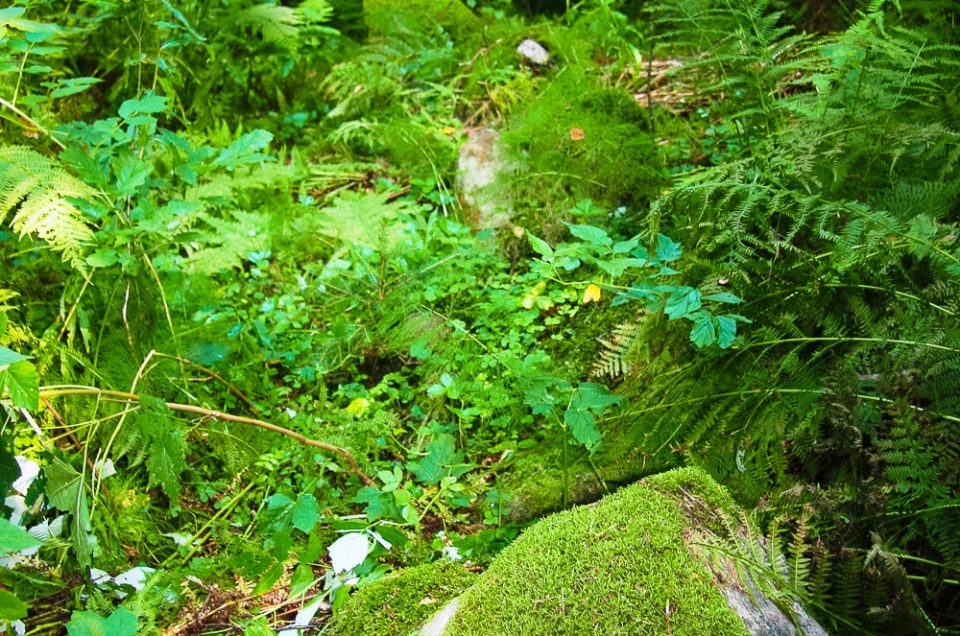 Lazdiņi Mound