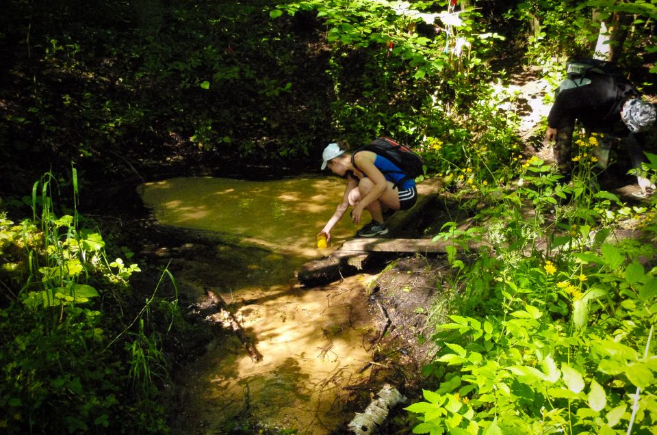 Kurmāle Baltavots Spring