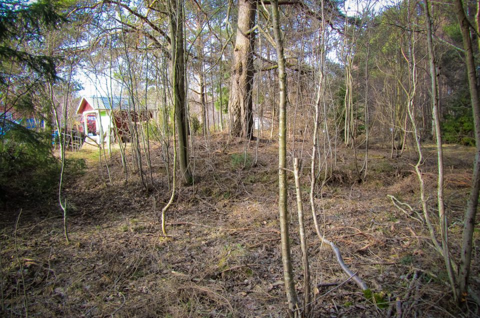 Gravemound at Lunde