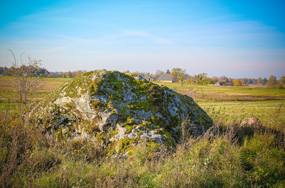 Māteri Devil’s Foot Stone