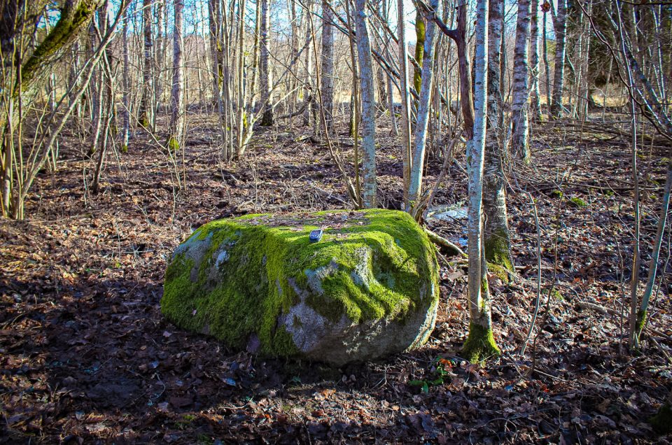 Mūrnieki 2nd Cup-Marked Stone