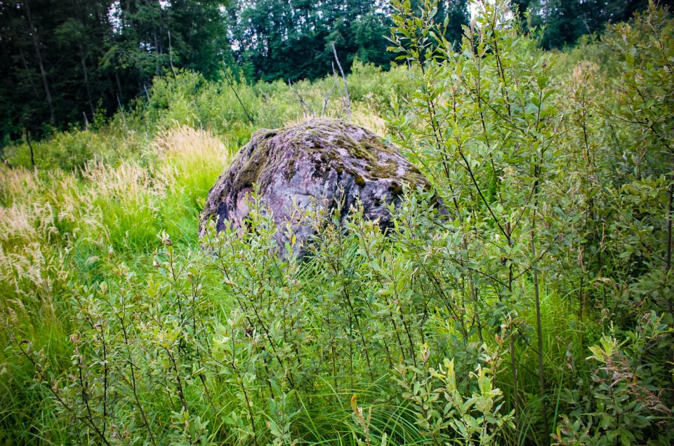 Orli Devil’s Stone