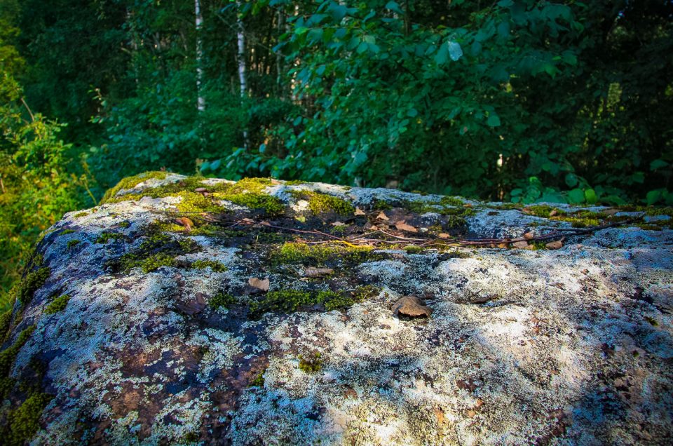 Ūsiņakmens Stone